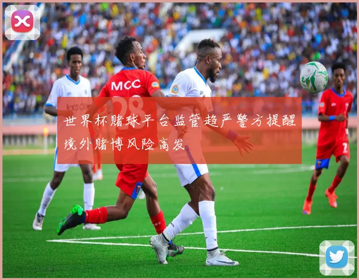 世界杯赌球平台监管趋严警方提醒境外赌博风险高发
