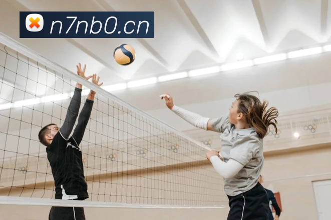 App Interface Preview